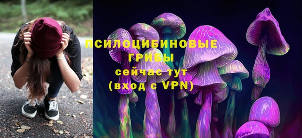 spice Алзамай